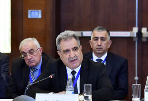 Siyasi dialoq sabitliyin təminatıdır TƏHLİL