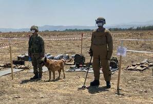Azad torpaqlarımız: Füzuli minalardan təmizlənir və yenidən qurulur - TƏHLİL