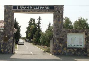 Estetik zövqün ünvanı: Şirvan Milli Parkı