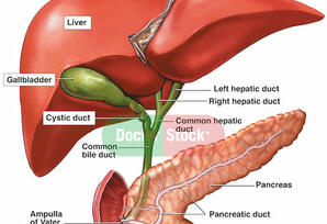 Hepatit: hər 30 saniyədə bir nəfər...