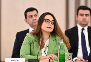 COP29 ilə əlaqədar Təşkilat Komitəsinin altıncı iclası keçirilib