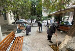 Bakıda genişmiqyaslı iməcilik keçirilib - FOTOLAR