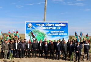 Samuxda “Yaşıl dünya naminə həmrəylik ili” çərçivəsində ağacəkmə aksiyası keçirildi TƏDBİR
