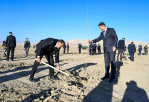 Naxçıvanda şəhidlərin xatirəsinə ağacəkmə aksiyası keçirilib