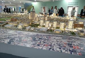 COP pavilyonunda yerli və xarici şirkətlər - Fotolar