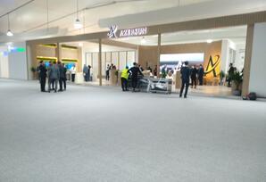 Yaşıl dünyaya yaşıl zonadan baxış - Fotolar