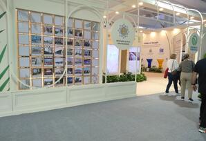 COP pavilyonunda yerli və xarici şirkətlər - Fotolar