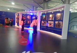 COP pavilyonunda yerli və xarici şirkətlər - Fotolar