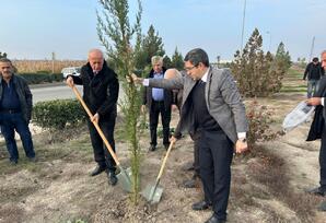 Kürdəmirdə YAP-ın təsis  edilməsinin 32-ci ildönümü münasibətilə ağacəkmə aksiyası  keçirilib FOTOLAR