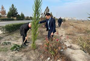 Kürdəmirdə YAP-ın təsis  edilməsinin 32-ci ildönümü münasibətilə ağacəkmə aksiyası  keçirilib FOTOLAR