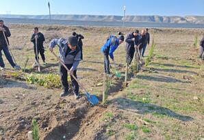 Qazaxda "Konstitusiya və Suverenlik ili" ilə “əlaqədar ağacəkmə aksiyası keçirildi