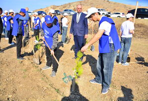 Ağstafa rayonunda ağacəkmə aksiyası keçirilib