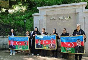 "Konstitusiya və Suverenlik İli"