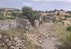 Cəbrayıl-Zəngilan səfərindən maraqlı təəssüratlar - FOTOREPORTAJ