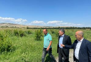 Göyçay rayonunda DAİM-in kollektivi, rayon zəhmətkeşləri, fermerlərlə görüşlər keçirilib