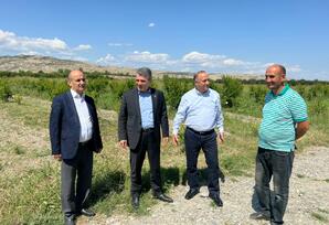 Göyçay rayonunda DAİM-in kollektivi, rayon zəhmətkeşləri, fermerlərlə görüşlər keçirilib