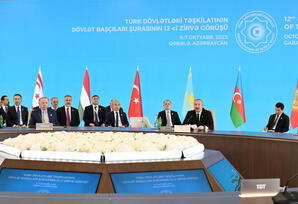 Türk  dünyası vahid ailədə