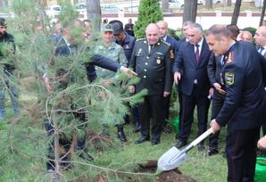 Gədəbəydə 8 Noyabr–Zəfər Günü ilə əlaqədar ağacəkmə aksiyası keçirilib