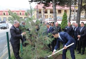 Gədəbəydə 8 Noyabr–Zəfər Günü ilə əlaqədar ağacəkmə aksiyası keçirilib