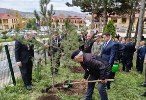 Gədəbəydə 8 Noyabr–Zəfər Günü ilə əlaqədar ağacəkmə aksiyası keçirilib