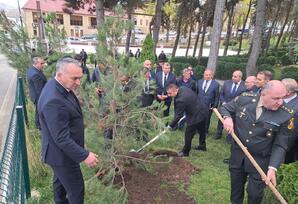 Gədəbəydə 8 Noyabr–Zəfər Günü ilə əlaqədar ağacəkmə aksiyası keçirilib