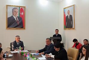 “Bayraq mənliyimdir, bayraq kimliyim”