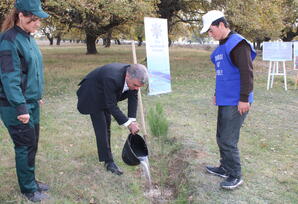 Ağstafa rayonunda ağacəkmə aksiyası keçirilib