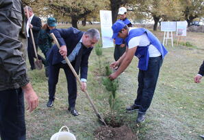 Ağstafa rayonunda ağacəkmə aksiyası keçirilib