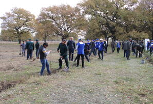 Ağstafa rayonunda ağacəkmə aksiyası keçirilib