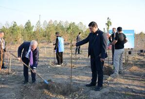 Tərtərdə  növbəti ağacəkmə aksiyası keçirilib