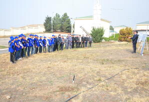 Ağstafa rayonunda ağacəkmə aksiyası keçirilib