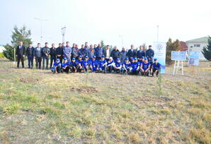 Ağstafa rayonunda ağacəkmə aksiyası keçirilib