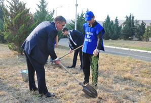 Ağstafa rayonunda ağacəkmə aksiyası keçirilib