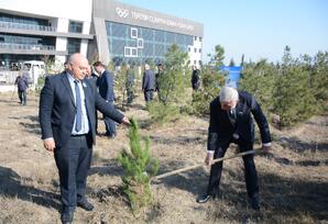 Tərtərdə Yeni Azərbaycan Partiyasının təsis edilməsinin 33-cü ildönümü münasibətilə ağacəkmə aksiyası keçirilib