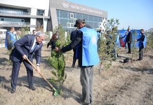 Tərtərdə Yeni Azərbaycan Partiyasının təsis edilməsinin 33-cü ildönümü münasibətilə ağacəkmə aksiyası keçirilib