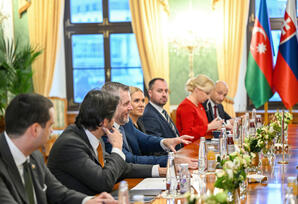 Geniş tərkibli görüş