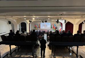 İqtisadi Əməkdaşlıq Təşkilatının (İƏT) Mədəniyyət İnstitutunda anım tədbiri keçirlib - FOTOLAR