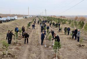 Samux rayonunda Ulu öndərin əziz  xatirəsi böyük ehtiramla yad edilib