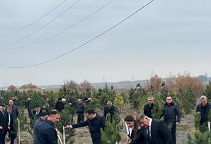 Samux rayonunda Ulu öndərin əziz  xatirəsi böyük ehtiramla yad edilib