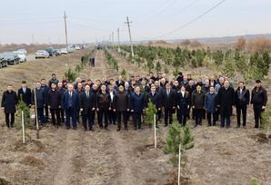 Samux rayonunda Ulu öndərin əziz  xatirəsi böyük ehtiramla yad edilib