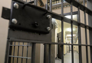 Amnistiya aktı cəmiyyətdə həmrəyliyin möhkəmlənməsinə xidmət edir TƏHLİL