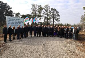 “Yaşıl və sağlam gələcək naminə” devizi altında ağacəkmə kampaniyası həyata keçirilib