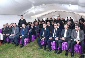 Masallıda vətəndaş məmnunluğu...