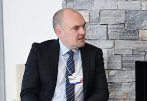 Azərbaycan Prezidenti “Vestas Wind Systems” şirkətinin baş vitse-prezidenti ilə görüşüb