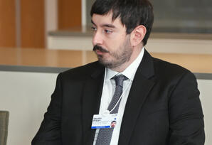 Azərbaycan Prezidenti “Vestas Wind Systems” şirkətinin baş vitse-prezidenti ilə görüşüb