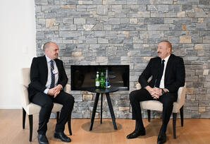 Azərbaycan Prezidenti “Vestas Wind Systems” şirkətinin baş vitse-prezidenti ilə görüşüb