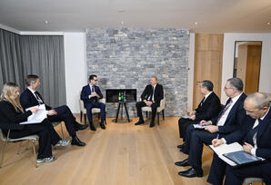 Prezident “Carlsberg Group” şirkətinin Baş icraçı direktoru ilə görüşüb