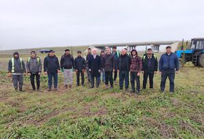 Cəlilabad  rayonunun  Uzuntəpə bələdiyyəsində ağacəkmə aksiyası keçirilib