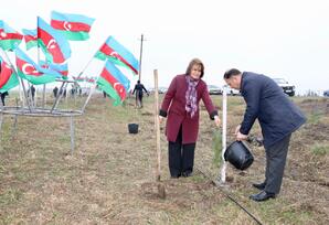 Samux rayonunda ağacəkmə aksiyası təşkil olunub - FOTOLAR