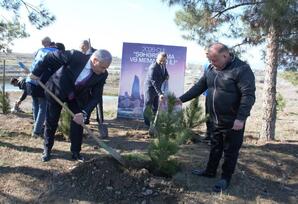 Tərtərdə ağacəkmə aksiyası keçirilib FOTOLAR